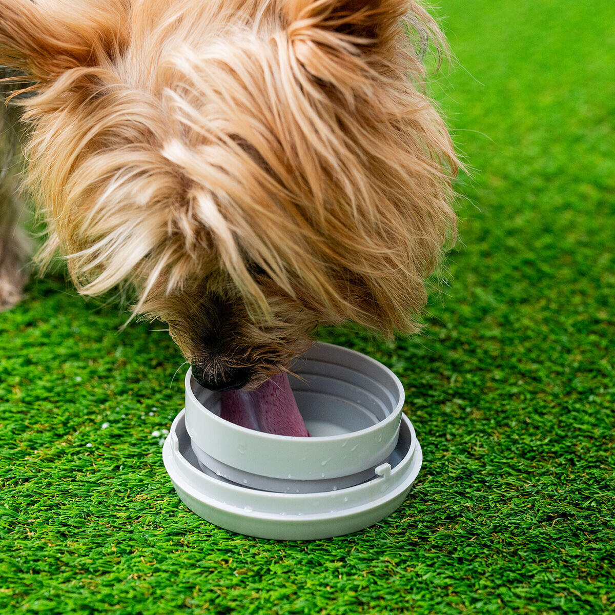 Correa Retráctil para Perros 6 en 1 Multilivex