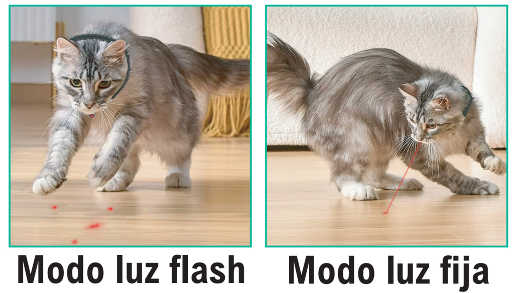 Collar de láser para mascotas