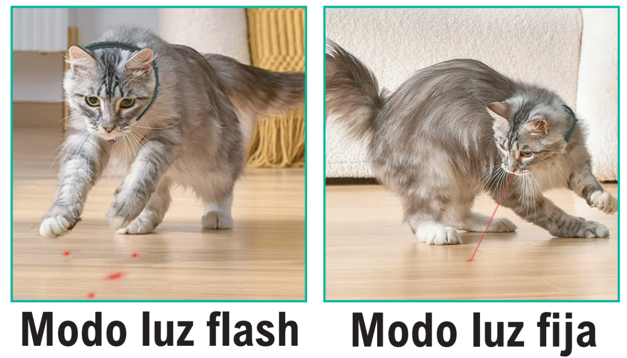 Collar de láser para mascotas