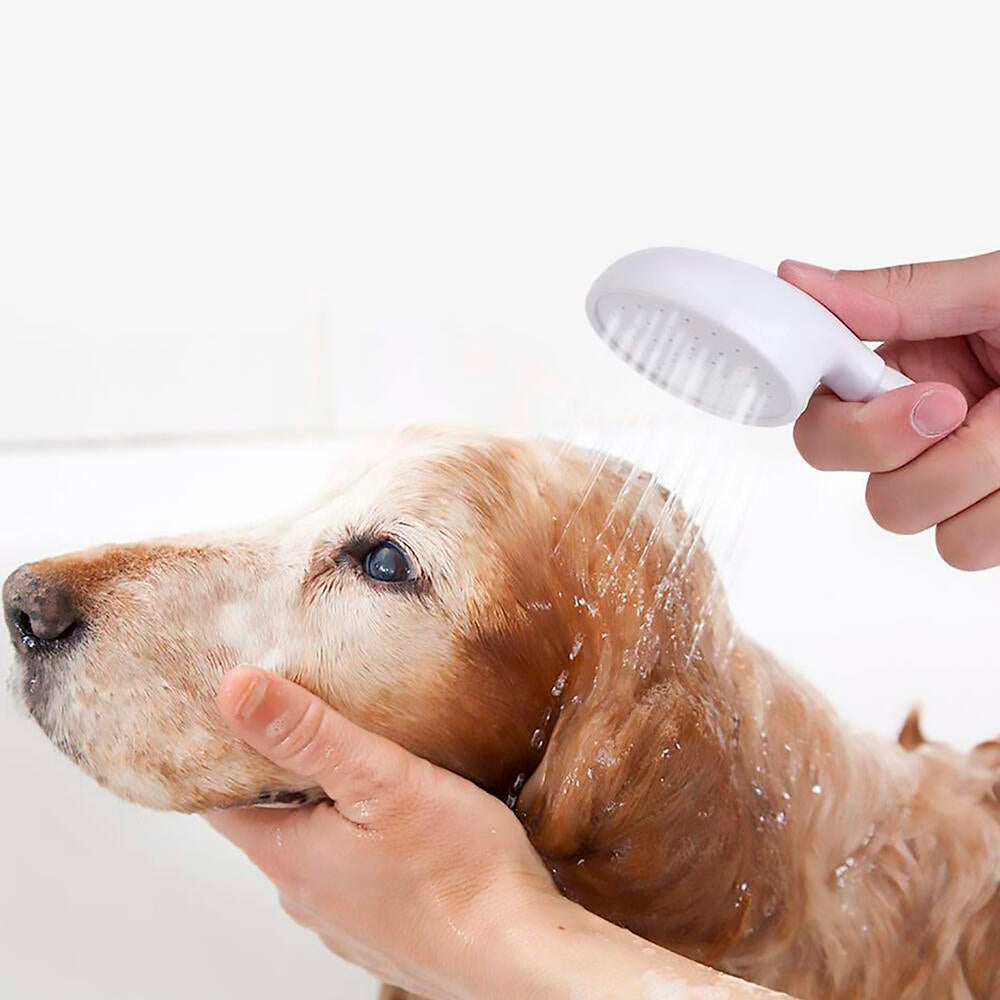 Manguera de Ducha con Alcachofa