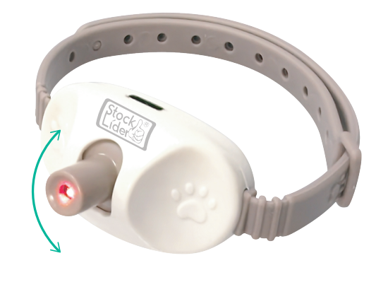 Collar de láser para mascotas